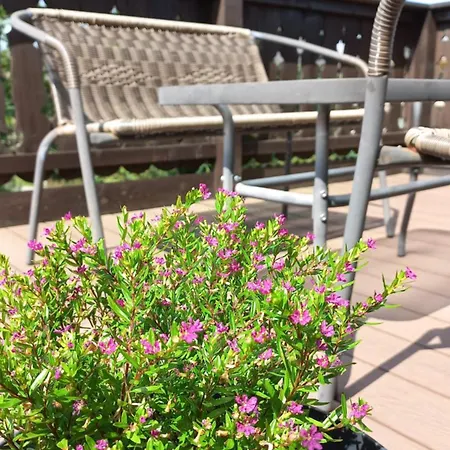 Melitton 民宿 扎科帕内