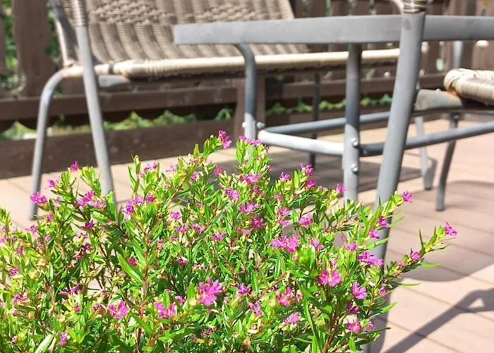 Melitton Privat bolig Zakopane